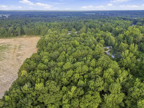 00 Sheeplo Loop, Hattiesburg, MS 39465 photo 16