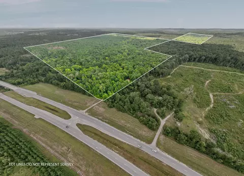 0 E Of Hwy 45, Waynesboro, MS 39367