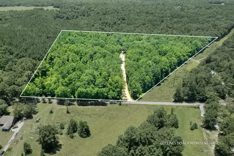 View/Area - 143 Batson Rd, Petal, MS 39465 photo 3 of 6