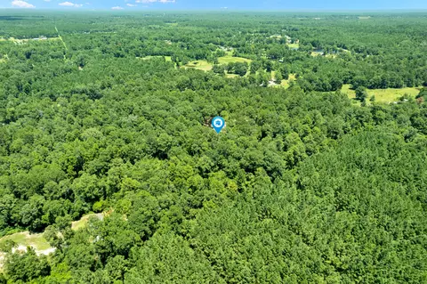 View/Area - 143 Batson Rd, Petal, MS 39465 photo 4 of 6