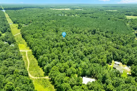 View/Area - 143 Batson Rd, Petal, MS 39465 photo 5 of 6