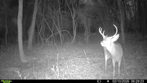 Other - 5 Spokane Rd, Natchez, MS 39120 photo 5 of 10