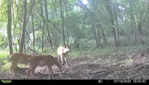 Other - 5 Spokane Rd, Natchez, MS 39120 photo 6 of 10