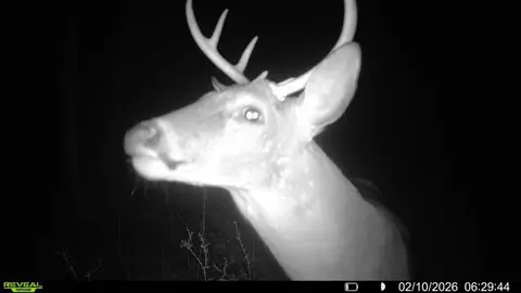 Other - 5 Spokane Rd, Natchez, MS 39120 photo 7 of 10