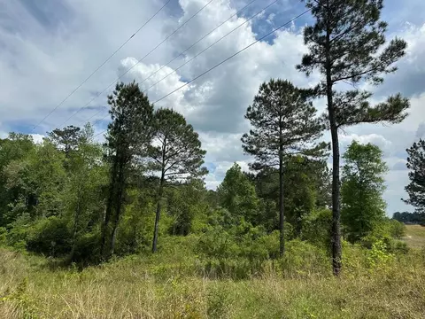 0 Rastus Riels, Hattiesburg, MS 39479