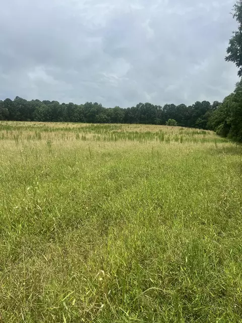 tbd Scr 1, Taylorsville, MS 39168