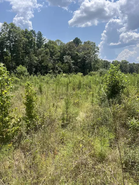 tbd Jack Loftin, Oak Vale, MS 39656 photo 4