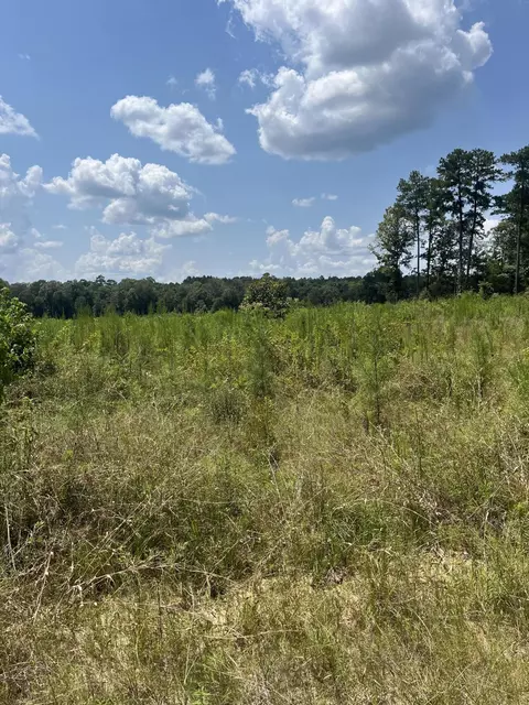tbd Jack Loftin, Oak Vale, MS 39656 photo 2