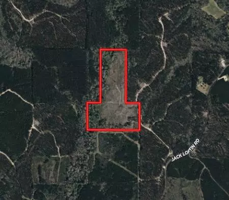 tbd Jack Loftin, Oak Vale, MS 39656 photo 5