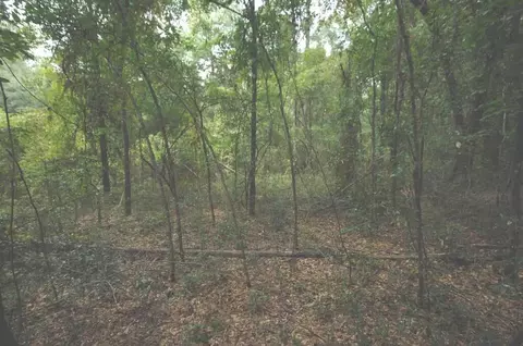 tbd Mccain Rd, Foxworth, MS 39483 photo 4