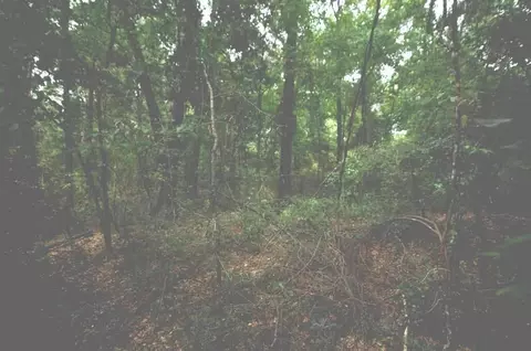tbd Mccain Rd, Foxworth, MS 39483 photo 3