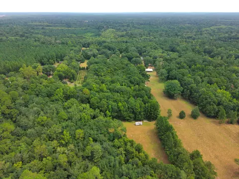 3 91 Mol Ac Wingate Rd, New Augusta, MS 39462 photo 14