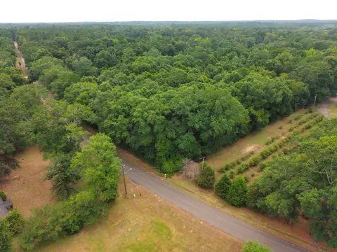 3 91 Mol Ac Wingate Rd, New Augusta, MS 39462 photo 7