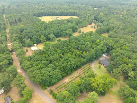 3 91 Mol Ac Wingate Rd, New Augusta, MS 39462 photo 9