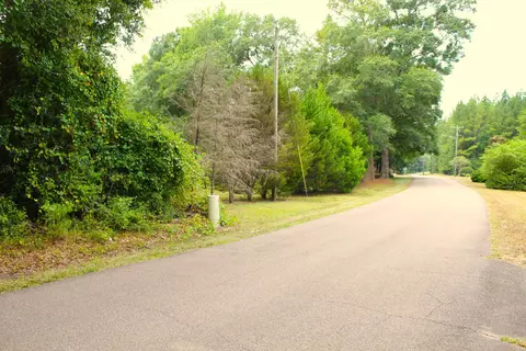 3 91 Mol Ac Wingate Rd, New Augusta, MS 39462 photo 5