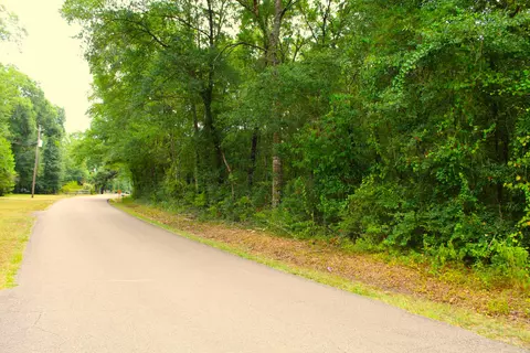 3 91 Mol Ac Wingate Rd, New Augusta, MS 39462 photo 4