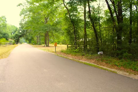 3 91 Mol Ac Wingate Rd, New Augusta, MS 39462 photo 3