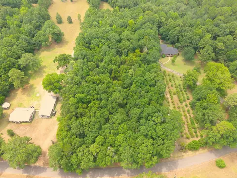 3 91 Mol Ac Wingate Rd, New Augusta, MS 39462 photo 12