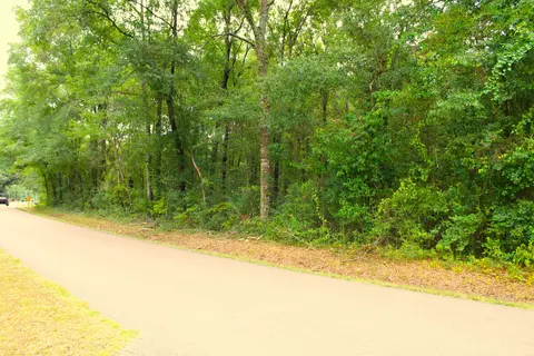 3 91 Mol Ac Wingate Rd, New Augusta, MS 39462 photo 2