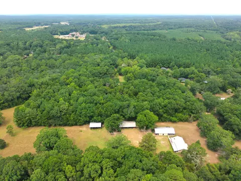 3 91 Mol Ac Wingate Rd, New Augusta, MS 39462 photo 13