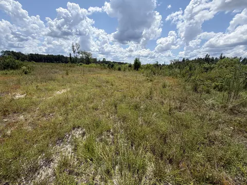 0 County Road 126, Quitman, MS 39355 photo 3