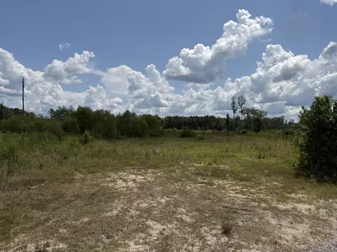 0 County Road 126, Quitman, MS 39355 photo 5