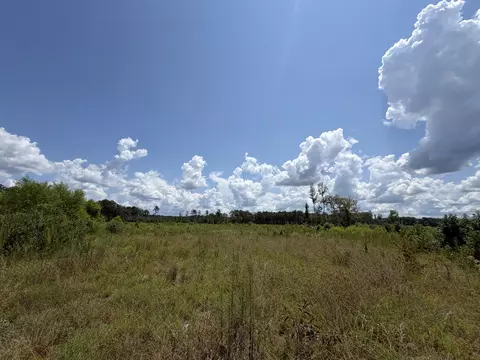 0 County Road 126, Quitman, MS 39355 photo 4