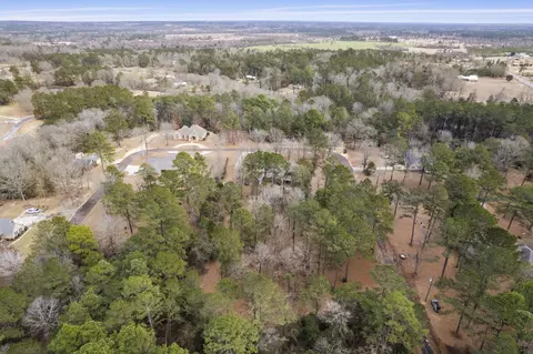 View/Area - 33 Pinedale Dr, Collins, MS 39428 photo 4 of 8
