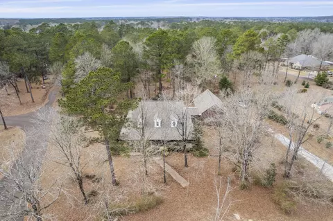 View/Area - 33 Pinedale Dr, Collins, MS 39428 photo 3 of 8