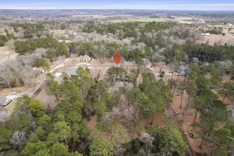 View/Area - 33 Pinedale Dr, Collins, MS 39428 photo 5 of 8