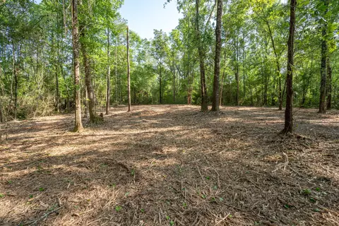 0 Cowart Rd, Lucedale, MS 39452 photo 7