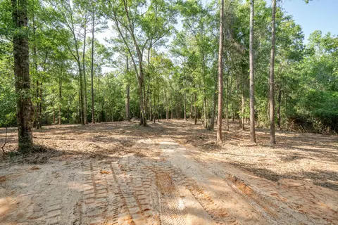 0 Cowart Rd, Lucedale, MS 39452 photo 14
