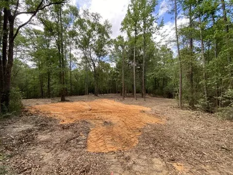 0 Cowart Rd, Lucedale, MS 39452 photo 9