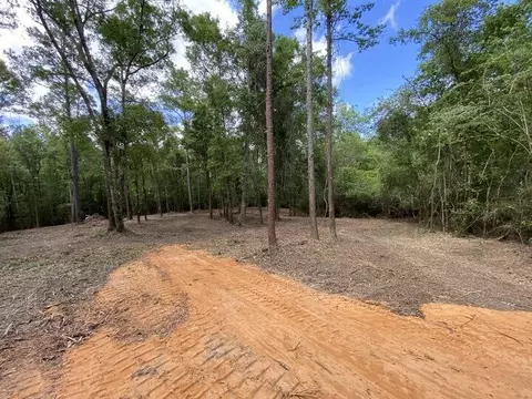 0 Cowart Rd, Lucedale, MS 39452 photo 8