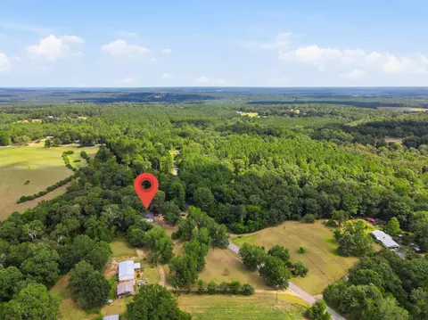 View/Area - 3989 Monroe Rd, Seminary, MS 39479 photo 8 of 9