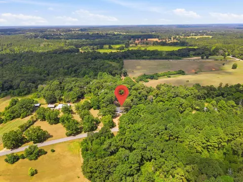 View/Area - 3989 Monroe Rd, Seminary, MS 39479 photo 4 of 9