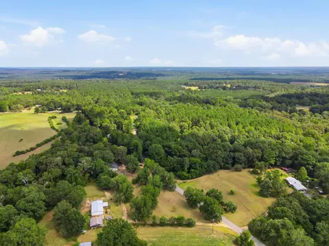 View/Area - 3989 Monroe Rd, Seminary, MS 39479 photo 7 of 9