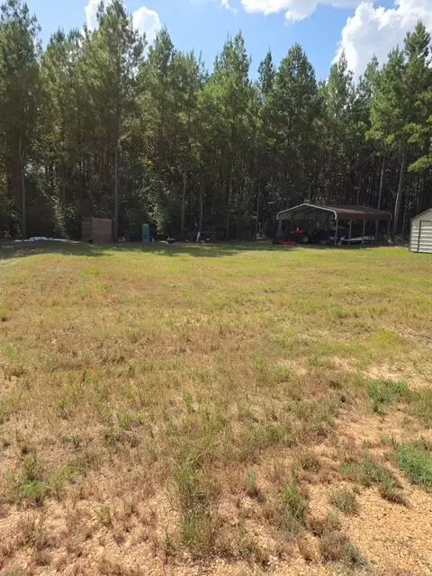 111 Progress Trl, Sumrall, MS 39482 photo 11