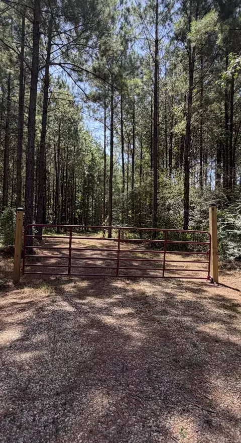 111 Progress Trl, Sumrall, MS 39482 photo 6