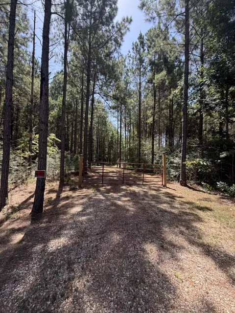 111 Progress Trl, Sumrall, MS 39482 photo 3