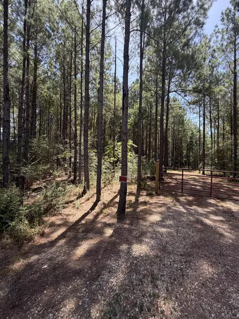 111 Progress Trl, Sumrall, MS 39482 photo 2