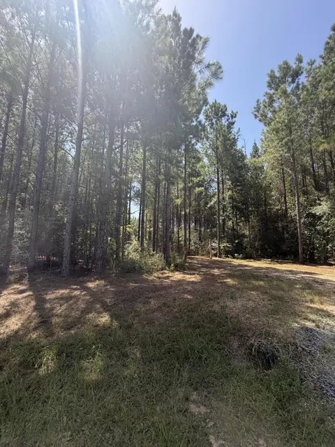 111 Progress Trl, Sumrall, MS 39482 photo 5