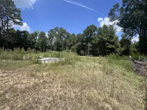 331 Goss Bunker Hl, Columbia, MS 39429