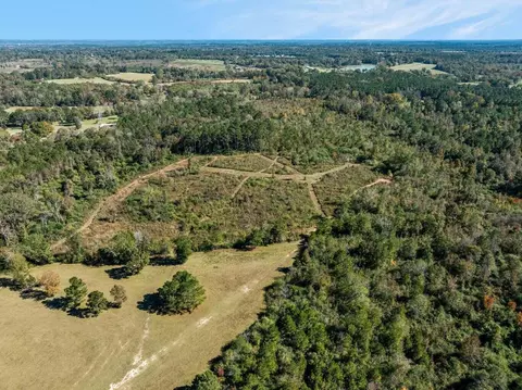 00 Lindsey, Mount Olive, MS 39119 photo 13