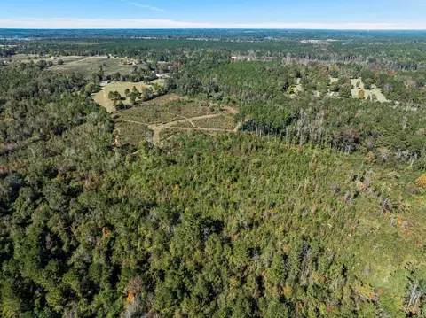 00 Lindsey, Mount Olive, MS 39119 photo 16