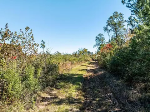 00 Lindsey, Mount Olive, MS 39119 photo 3