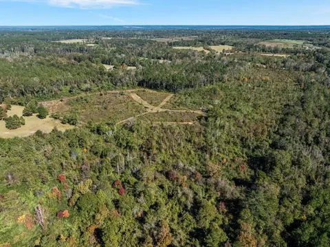 00 Lindsey, Mount Olive, MS 39119 photo 14