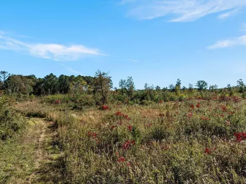 00 Lindsey, Mount Olive, MS 39119 photo 8