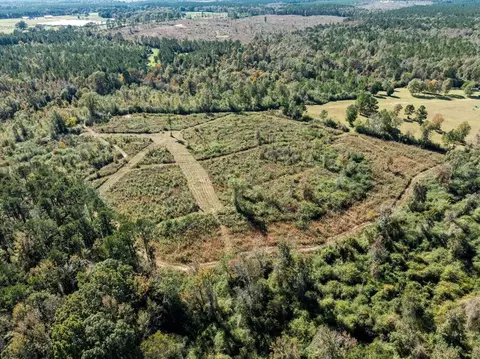 00 Lindsey, Mount Olive, MS 39119 photo 21