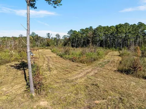00 Lindsey, Mount Olive, MS 39119 photo 5